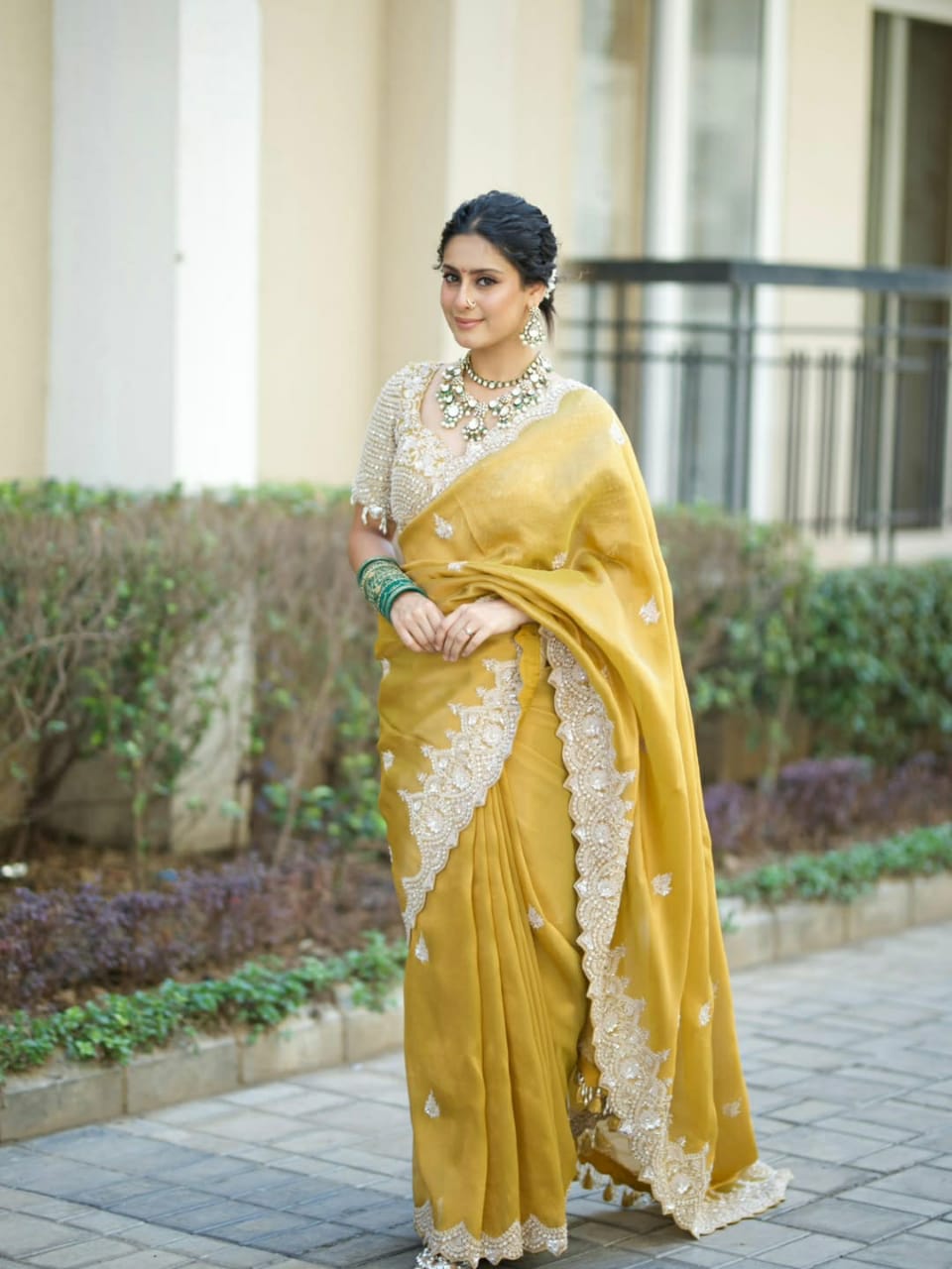 Woman wearing pure tissue silk saree with hand embroidery