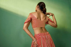 Heavy embroidered red lehenga with golden detailing