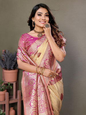 vastralyn saree collection