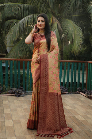 traditional silk saree,