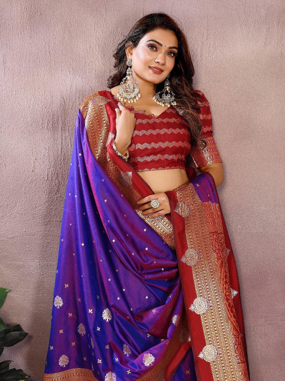 Banarasi Tissue Silk Saree 2025