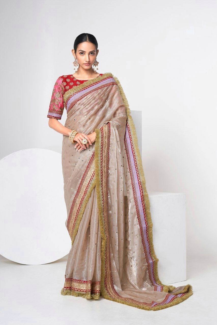 vastralyn Jimmy Choo saree