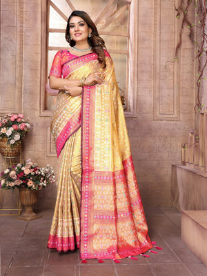Banarasi Tissue Silk Saree