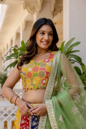 multicolor lehenga choli