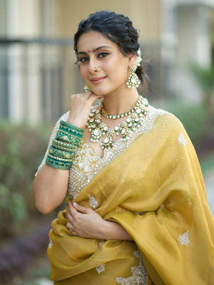 Traditional Indian saree outfit