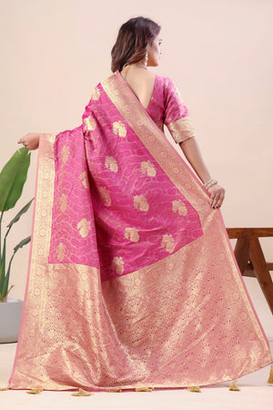 Party wear silk saree with blouse