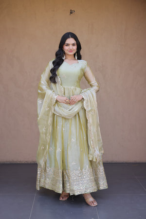 Luxury Pista Green Ethnic Gown with Dupatta