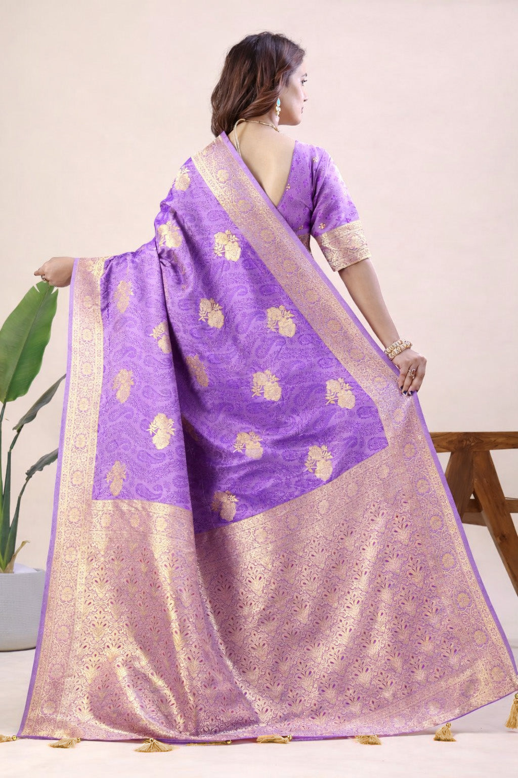 Indian traditional Banarasi saree
